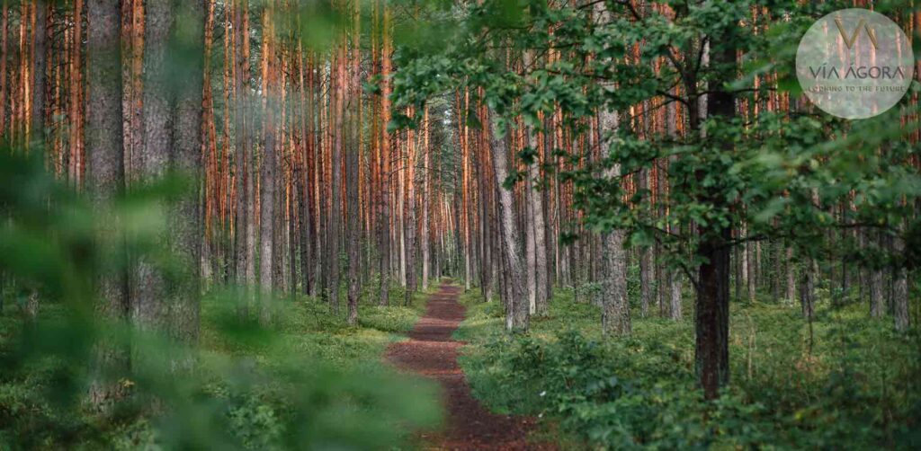 naturaleza-parque-valdebebas